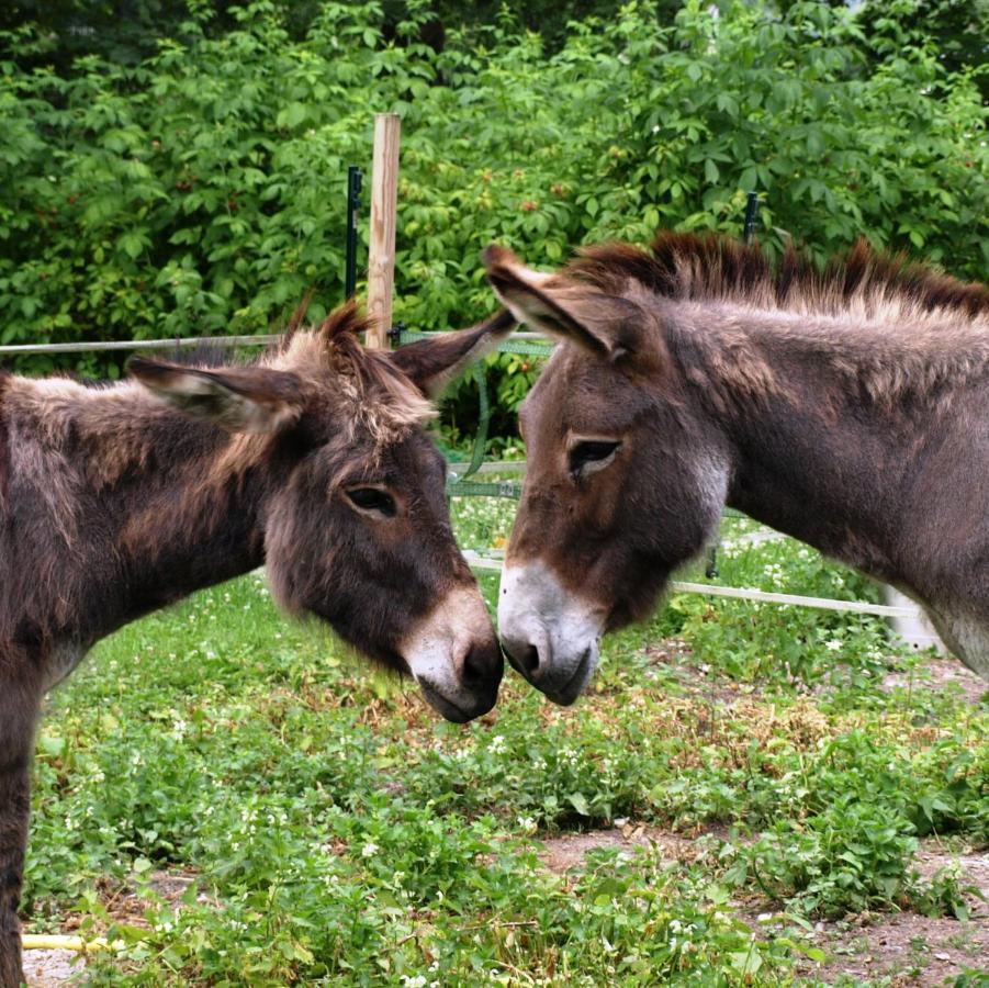 Bed and Breakfast Les Rives De L'Andelle Romilly-sur-Andelle Esterno foto